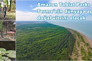 Terme'nin Geleceğine Değer Katacak Proje